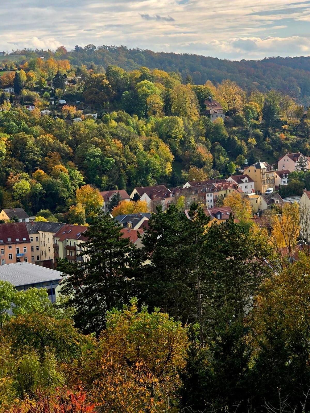 Cozy Pet-Friendly Apartment Meißen Eksteriør bilde