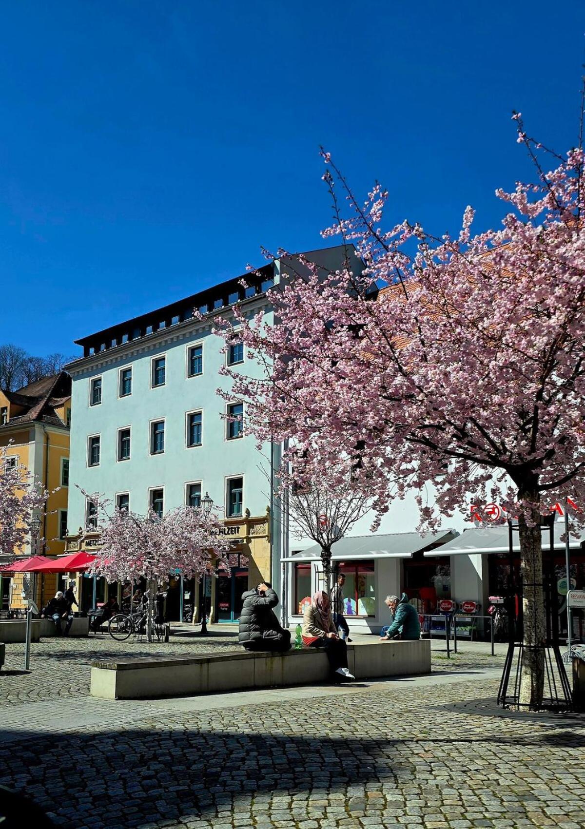 Cozy Pet-Friendly Apartment Meißen Eksteriør bilde